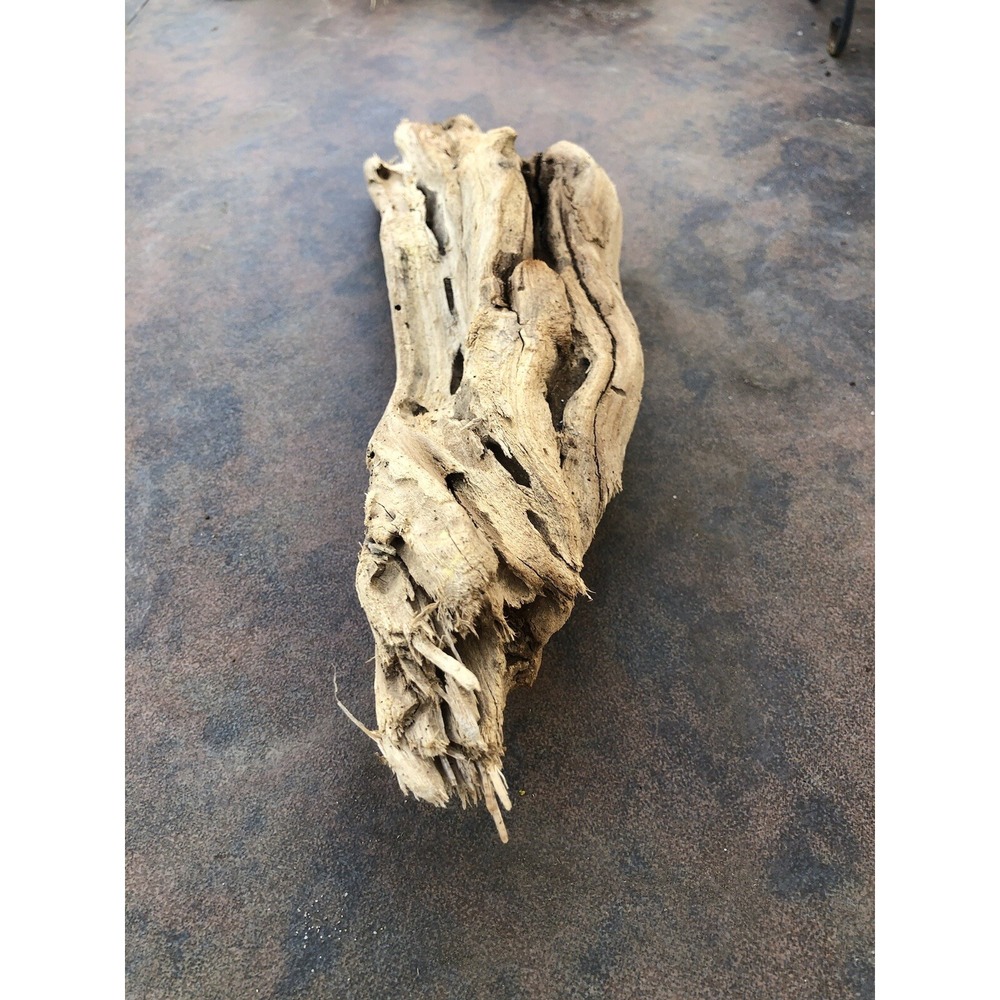Natural Driftwood for Plants Terrarium Taxidermy Art Projects - Picture 6 of 7